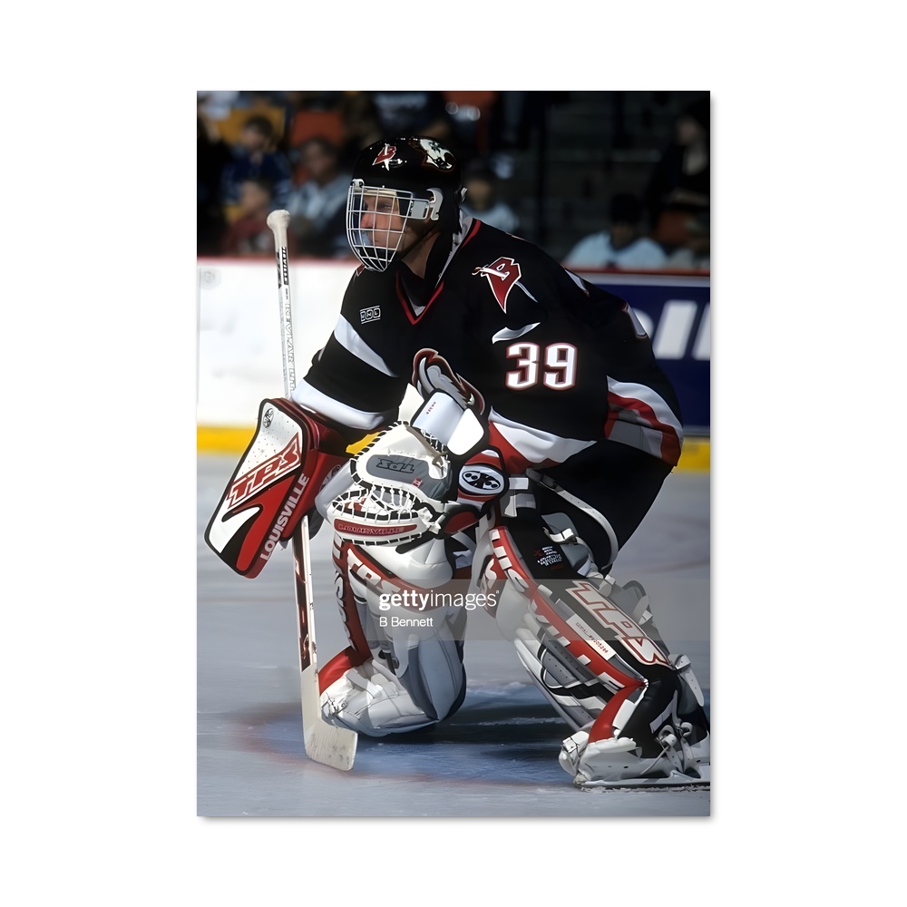 Poster Le Gardien de la Glace